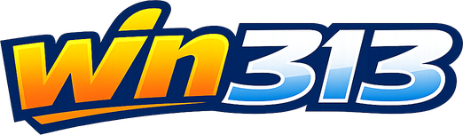 Logo win313